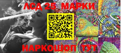 сатива Гатчина