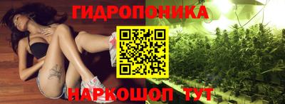 сатива Гатчина