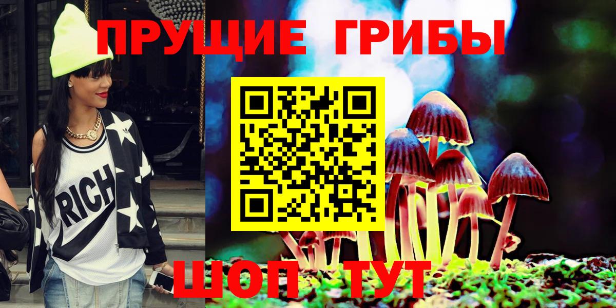 Набережные Челны  закладки  Вход с VPN  Псилоцибиновые грибы Psilocybe 
